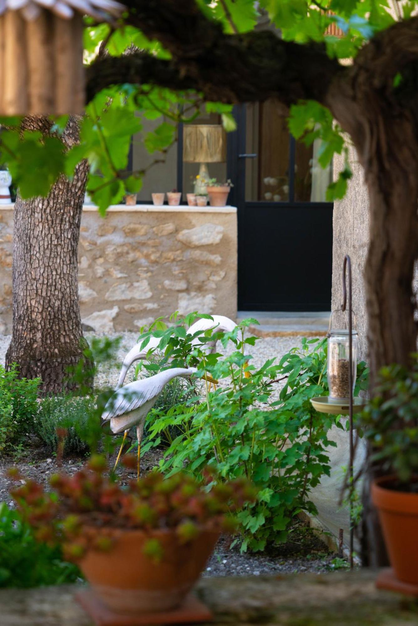 La Suite - Maison M Fabre Saint-Rémy-de-Provence Exterior foto