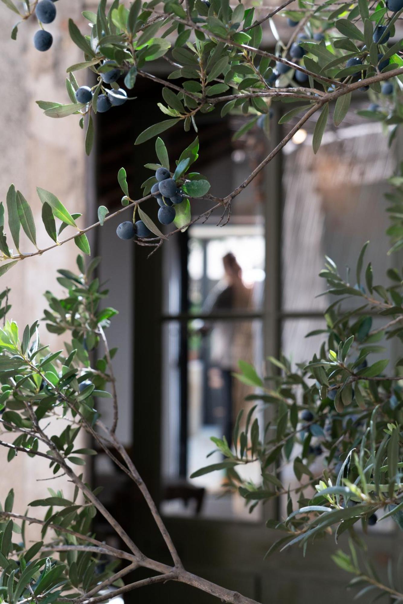 La Suite - Maison M Fabre Saint-Rémy-de-Provence Exterior foto